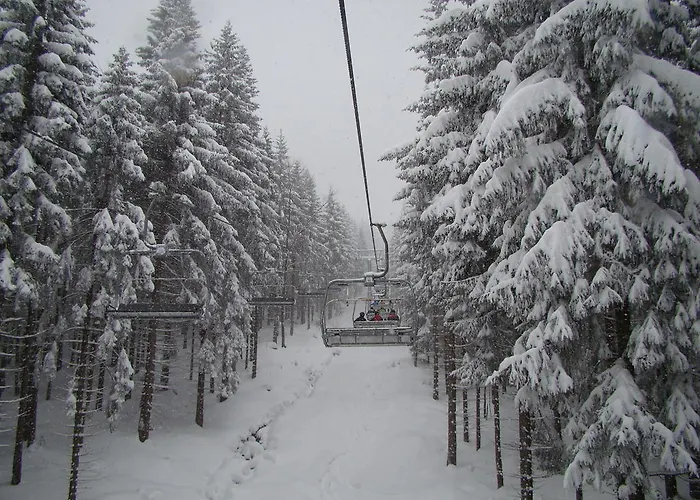 Frühstückspension Solej